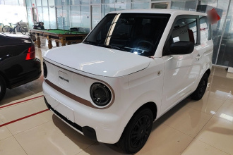 吉利银河 2023款 熊猫mini 200km 耐力熊
