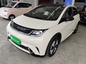 比亚迪 海豚 2023款 420km 时尚版