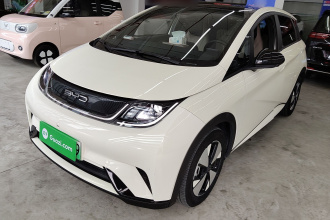 比亚迪 海豚 2023款 420km 时尚版