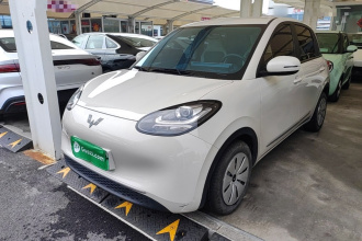 五菱汽车 五菱缤果 2023款 203km 轻享款