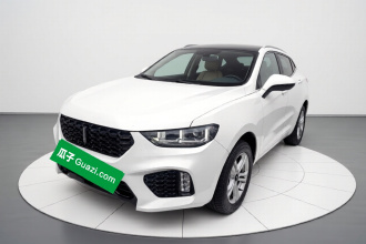 魏牌 VV5 2019款 1.5T 两驱颜先锋