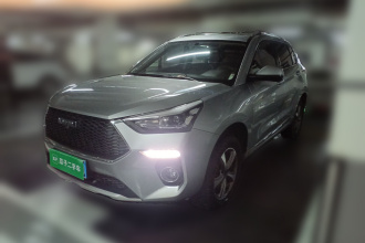 哈弗H6 Coupe 2019款 1.5T 自动两驱精英型 国VI