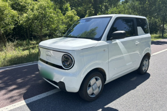 吉利银河 2024款 熊猫mini 200km 耐力熊