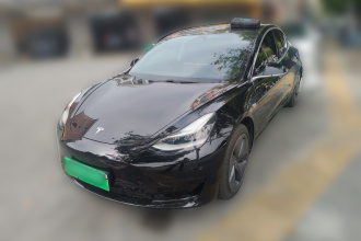 特斯拉 Model 3 2020款 改款 标准续航后驱升级版