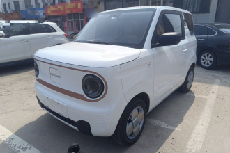 吉利银河 2024款 熊猫mini 200km 耐力熊