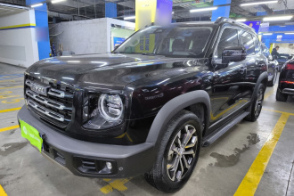 哈弗大狗 2021款 1.5T DCT两驱边牧版