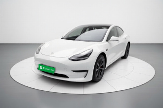 特斯拉 Model 3 2020款 改款 长续航后轮驱动版