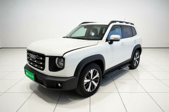 哈弗大狗 2022款 1.5T DCT两驱拉布拉多版