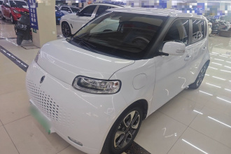 欧拉白猫 2020款 305km 豪华型