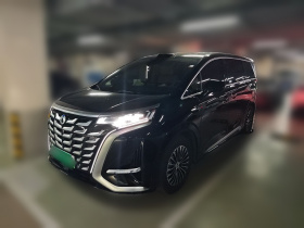 腾势D9 2025款 DM-i 智驾版 1020 四驱尊荣型