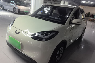 五菱汽车 五菱缤果 2023款 333km 悦享款