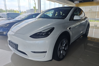特斯拉 Model Y 2021款 标准续航后驱版
