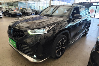 丰田 皇冠陆放 2021款 2.5L HEV四驱豪华版