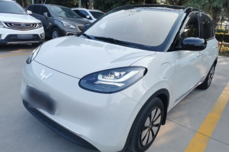 五菱汽车 五菱缤果 2024款 333km 悦享款