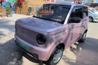 吉利银河 2023款 熊猫mini 200km 耐力熊