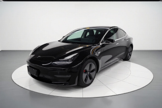 特斯拉 Model 3(进口) 2019款 长续航后驱版
