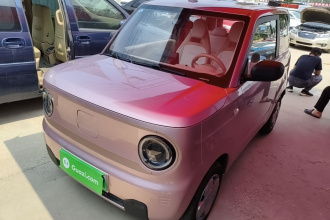 吉利银河 2023款 熊猫mini 200km 耐力熊