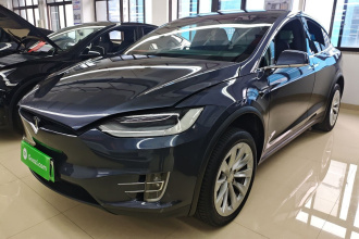 特斯拉 Model X 2020款 长续航升级版
