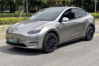 特斯拉 Model Y 2021款 标准续航后驱版