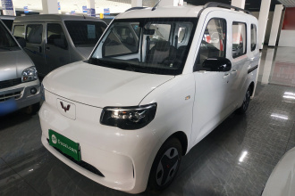 五菱汽车 五菱之光新能源 2025款 305km 进取型