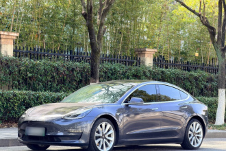 特斯拉 Model 3 2020款 长续航后轮驱动版