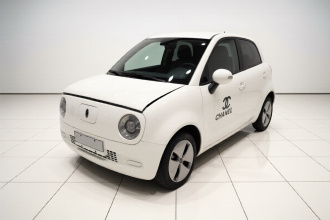 欧拉黑猫 2022款 301km 基础型 三元锂