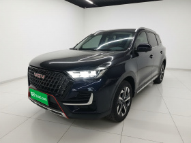 中国重汽VGV VGV U75PLUS 2021款 2.0TGDI 奇趣山地版 7座