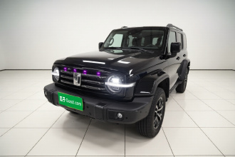 坦克300 2023款 城市版 2.0T 很有型