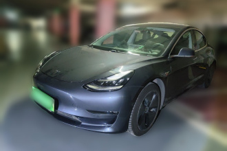 特斯拉 Model 3(进口) 2019款 长续航后驱版
