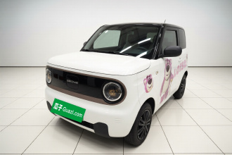 吉利银河 2024款 熊猫mini 200km 耐力熊