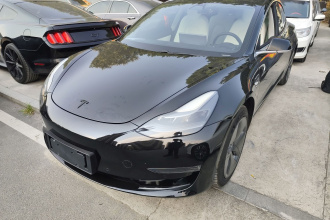 特斯拉 Model 3 2020款 改款 长续航后轮驱动版