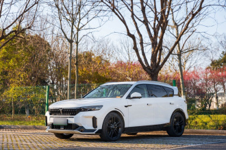 岚图汽车 岚图FREE 2024款 超长续航智驾版