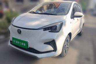 长安 奔奔E-Star 2020款 心动版 三元锂