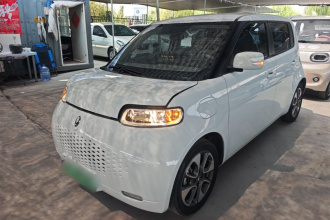 欧拉白猫 2022款 升级版 305km 豪华型 三元锂