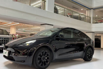 特斯拉 Model Y 2021款 长续航全轮驱动版