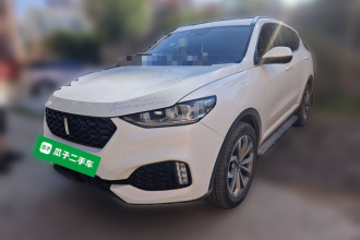 魏牌 VV6 2018款 2.0T 两驱旗舰型 国V