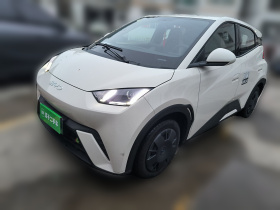 比亚迪 海鸥 2025款 305km 活力版