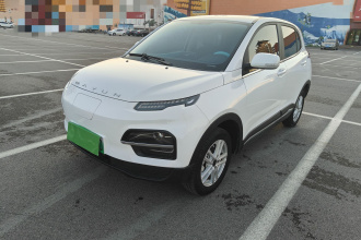 大运 悦虎 2022款 300 标准版