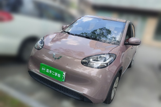 五菱汽车 五菱缤果 2023款 333km 快享款