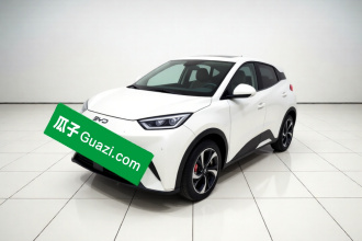 比亚迪 海鸥 2024款 荣耀版 405km 飞翔版