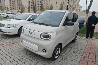 五菱汽车 宏光MINIEV 2024款 第三代 215km 青春版