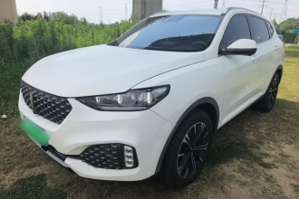 魏牌 VV6 2020款 2.0T 两驱智护+