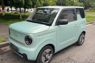 吉利银河 2023款 熊猫mini 200km 灵动熊