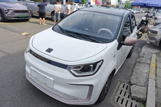 思皓 2022款 花仙子款 四叶草
