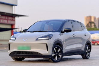 五菱汽车 五菱缤果PLUS 2024款 401km 五座版