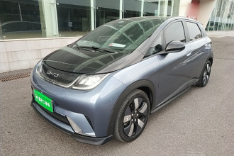 比亚迪 海豚 2023款 401km 骑士版