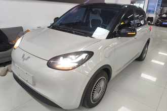 五菱汽车 五菱缤果 2024款 333km 灵犀互联款