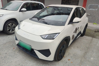 比亚迪 海鸥 2025款 智驾版 305km 活力版