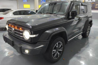 坦克300 2021款 城市版 2.0T 很有型