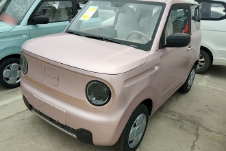吉利银河 2024款 熊猫mini 200km 耐力熊
